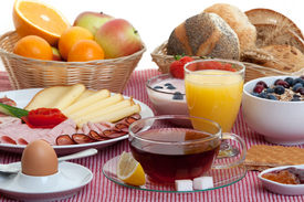 De smakelijke aanvang van de dag: het visontbijt.